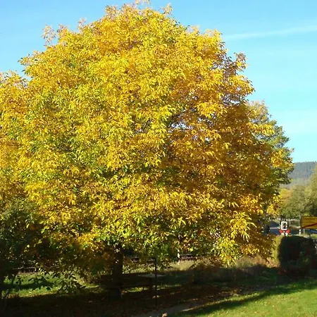 Haus Am Teutoburgerwald Appartement Sandebeck Buitenkant foto