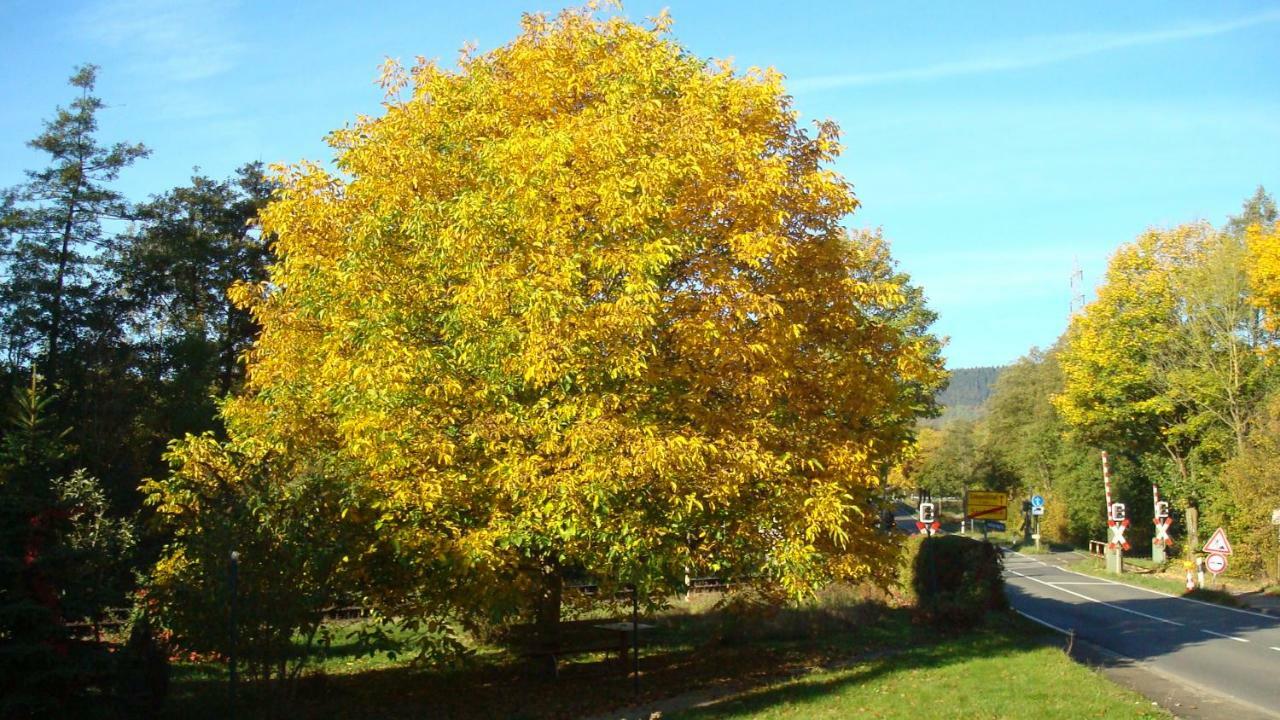 Apartment Haus Am Teutoburgerwald Sandebeck